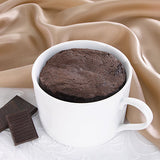 HealthWise - Chocolate Mug Cake